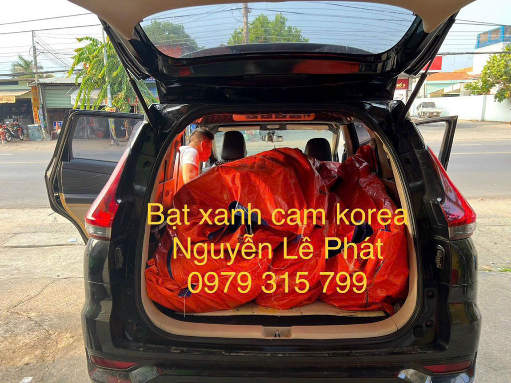 Bạt xanh cam trong xây dựng