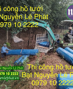 Bạt Lót Ao Hồ Chứa Nược tại Huyện Đồng Phú