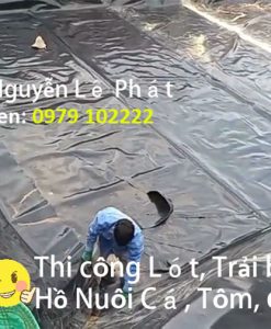 Bạt HDPE 0.5mm 0.3mm Lót Ao Hồ Chứa Nước Nuôi Cá Ốc Nhà Bè