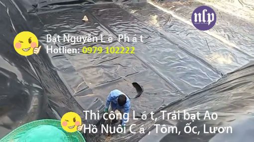 Bạt HDPE 0.5mm 0.3mm Lót Ao Hồ Chứa Nước Nuôi Cá Ốc Nhà Bè