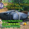 Túi Biogas Xử Lý Chất Thải Nuôi Heo, Gà, Vịt tại Bù Đăng, Bù Đốp