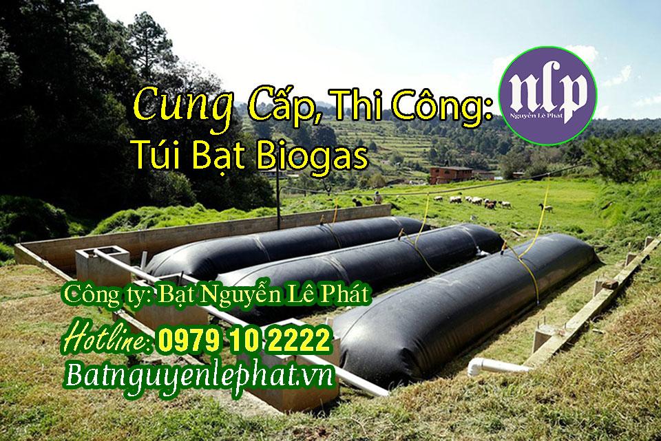 Túi Biogas trang trại vịt gà Dầu Tiếng Bình Dương