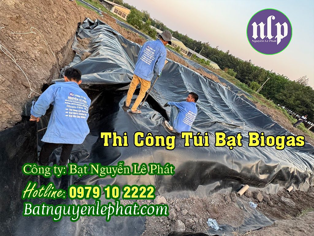 Túi biogas trang trại heo gà vịt tại Tuyển Quang