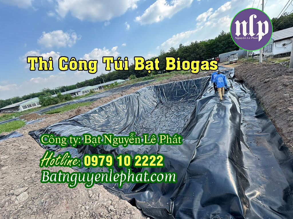 Túi biogas trang trại heo gà vịt tại Tuyển Quang